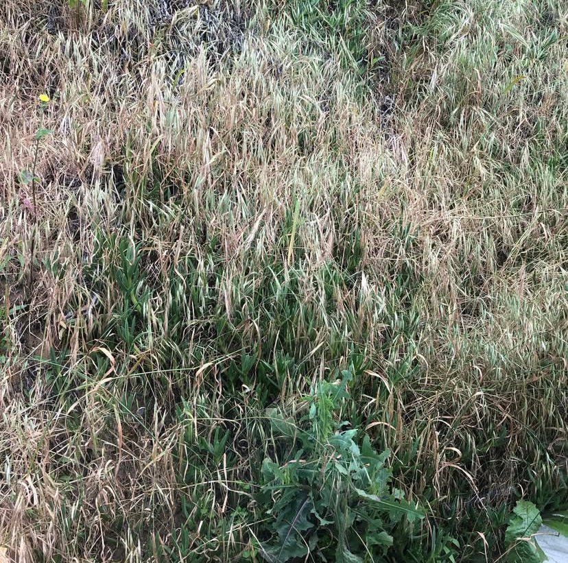 Image 24